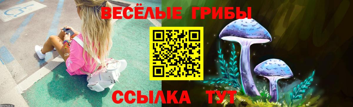 Псилоцибиновые грибы прущие грибы Красноярск