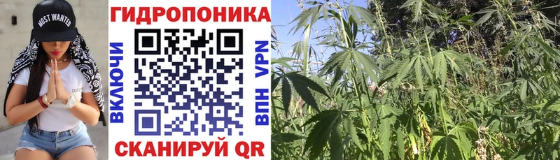 Бошки Шишки THC 21% Красноярск